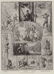 Chasse au sanglier à Nassau